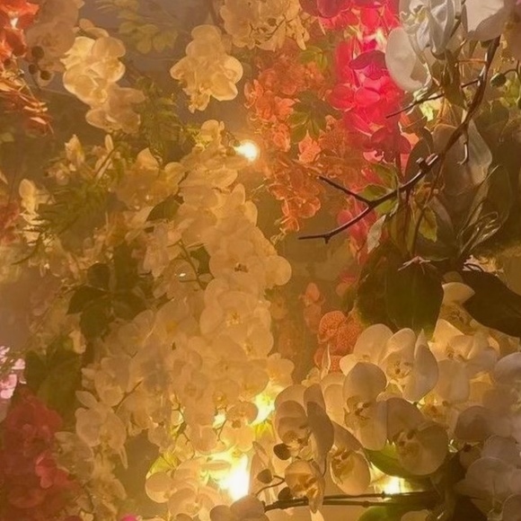 Meet your Posher, Alex - Picture 1 of 1